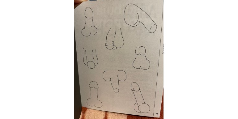 ¿Cuáles son los penes más deseados?